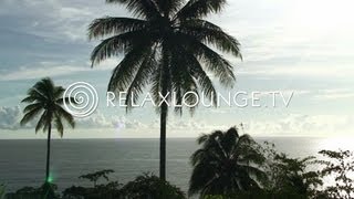 Loungemusik  Gitarren Musik Harmonie Wellness amp Paradies  OCEAN LOUNGE [upl. by Mirabel]