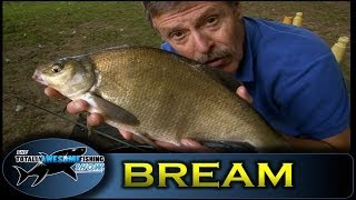 Feeder fishing for Bream  Totally Awesome Fishing Show [upl. by Amak]