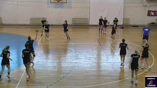 Handball Passing Drill 3 [upl. by Alet]