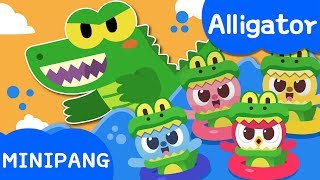 Alligator Song  Miniforce  Nursery rhymes  Animal Songs  MiniPang TV Kids Song [upl. by Anedal753]