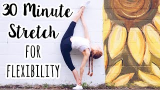 30 Minute Full Body Stretch for Flexibility [upl. by Imugem246]