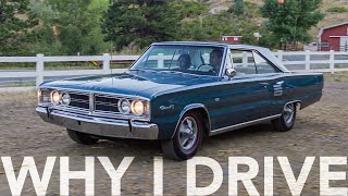 426 Hemipowered 1966 Dodge Coronet 500 is a connection to another era  WHY I DRIVE 26 [upl. by Spears]