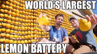 Worlds Largest Lemon Battery [upl. by Ggerc602]