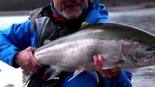 The Mighty Skeena  Spring Steelhead at its Best [upl. by Llenaej]