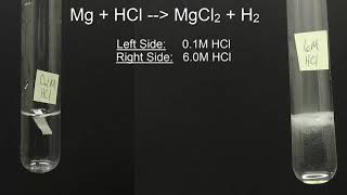 Magnesium reacting with Hydrochloric Acid [upl. by Epilihp554]