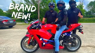 CBR600rr STUNT BIKE REVEAL Must See [upl. by Nnylsoj]