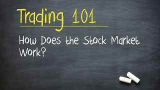 Trading 101 How Does the Stock Market Work [upl. by Scurlock975]