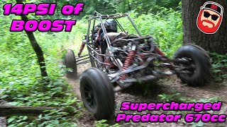 Supercharged Predator 670cc Buggy Woods Rip  Blown 670cc [upl. by Januarius]