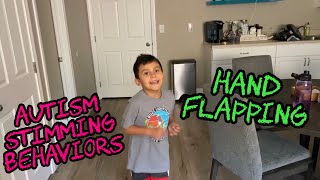 Hand Flapping  Autism Stimming Behaviors [upl. by Alfons]