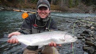 BC Steelhead Fly Fishing  Skeena River British Columbia [upl. by Alikee]