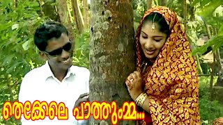 തെക്കേലെ പാത്തുമ്മ  Malayalam Mappila Songs  Malayalam Album Songs 2015 HD [upl. by Aleek]