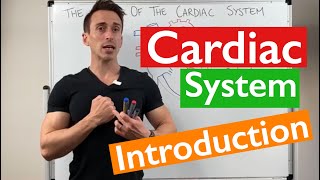 Introduction to the Cardiac System [upl. by Topping]