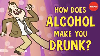 How does alcohol make you drunk  Judy Grisel [upl. by Jayme778]