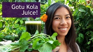 How to Make Gotu Kola Pennywort Drink [upl. by Aenea322]