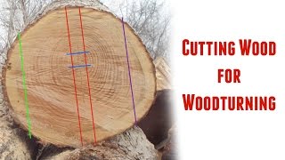 Cutting Logs into Turning Blanks  Part 1 [upl. by Erde373]