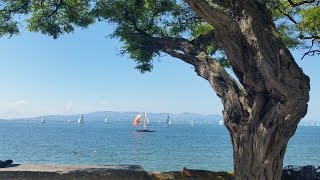 Der BodenseeRadweg Alle Infos zum Radweg und zu den Attraktionen am Bodensee [upl. by Kameko207]