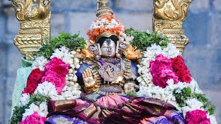 Sri Sengamala Thayar Rajagopalaswamy Temple Mannargudi Friday Purappadu [upl. by Pickford]