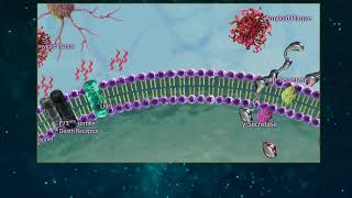 Amyloid Beta Processing [upl. by Haig]