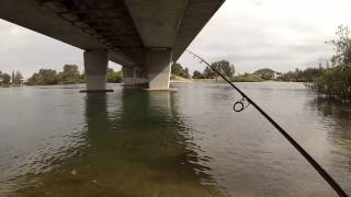 How to catch bream on bait around a bridge  basic bream fishing [upl. by Leasia]