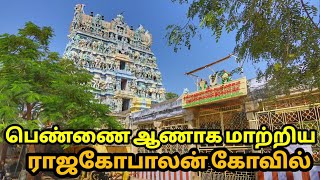 Rajagopalaswamy Temple Palayamkottai  Tirunelveli [upl. by Goodwin]