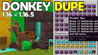 How to Duplicate ANY ITEM in Minecraft 1165 Multiplayer [upl. by Anuska458]