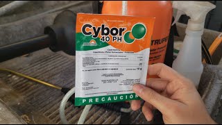 COMO FUMIGAR TU CASA EN 5 MINUTOS CONTRA CUCARACHAS  RESULTADOS [upl. by Ahsiemal]