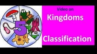 Classification of Living things for Kids [upl. by Odnuges484]