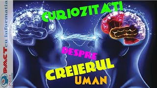 50 De Curiozitati Fascinante Despre Creierul Uman [upl. by Hephzipa55]