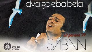 Saban Saulic  Dva galeba bela  Audio 1979 [upl. by Tawsha]