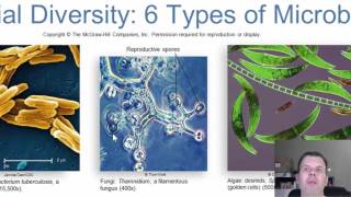 Chapter 1 Introduction to Microbiology [upl. by Yrnehnhoj]