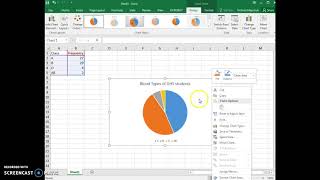 Add data labels to pie chart and delete legend [upl. by Ahsenrac641]