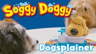 Soggy Doggy  Pups Explain How To Play Soggy Doggy [upl. by Merkley]