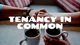 Tenancy in Common Part 1  Land Law [upl. by Inahpit]