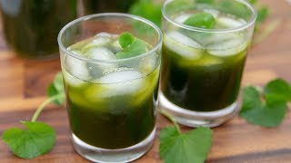 Pennywort Juice  Gotu Kola Juice Nuoc Rau Ma [upl. by Fanny262]