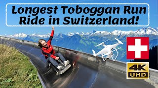 Longest Summer Toboggan Ride in Switzerland  4K Video [upl. by Elia231]