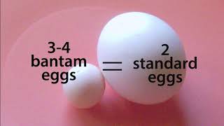 What are Bantam Chickens vs Standard Size Chickens – Chickens in a Minute [upl. by Trebuh]