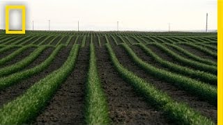 Drones and the Future of Farming  National Geographic [upl. by Pendleton]