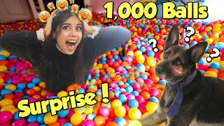 Surprising My DOG with 1000 Colourfull Balls 😱 Hilarious Reaction [upl. by Chickie864]