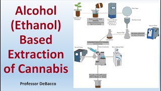 Alcohol Ethanol Based Extraction of Cannabis [upl. by Runkel232]