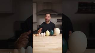 I Cooked the World’s CRAZIEST Eggs [upl. by Woodward94]