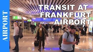 TRANSIT WALK AT FRANKFURT Airport FRA Terminal 1  Connection Flight Transfer Arriving amp Departing [upl. by Encratia]