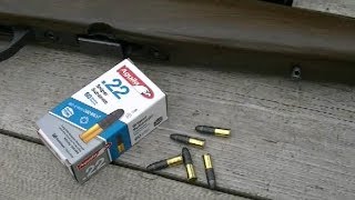 Aguila 22 Sniper Subsonic Ammo Test [upl. by Delastre566]