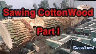 Sawing Cottonwood  Part I  Saw Mill  Logs  USA Factory  Technology [upl. by Aelber]