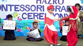 Pakistans Culture and Folk Songs by Bahria Foundation School amp College HAZRO Campus  PAKISTAN [upl. by Asenaj]